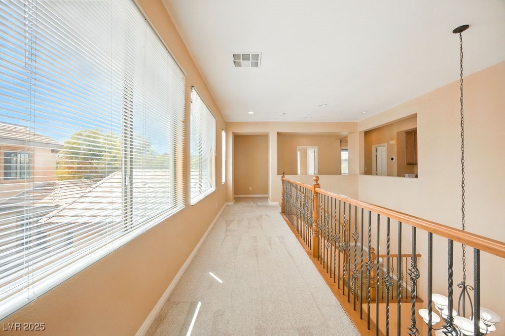 8220 Chimney Bluffs Street Property Photo 43