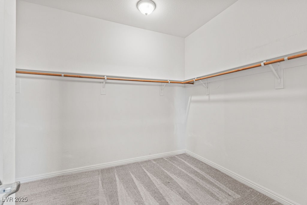 8220 Chimney Bluffs Street Property Photo 62