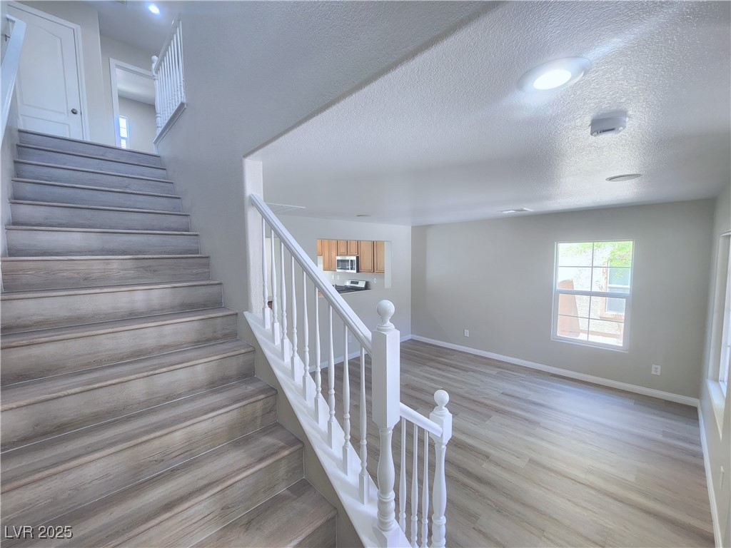 11185 Saddle Iron Street Property Photo 4
