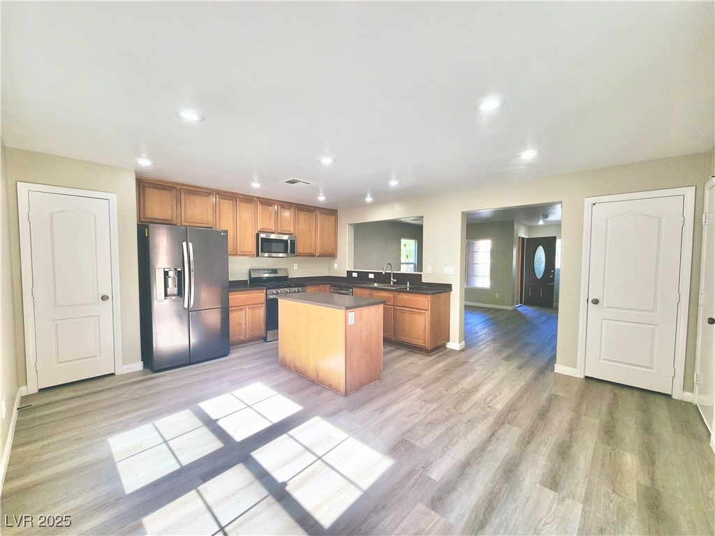 11185 Saddle Iron Street Property Photo 5