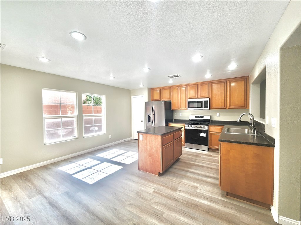 11185 Saddle Iron Street Property Photo 6