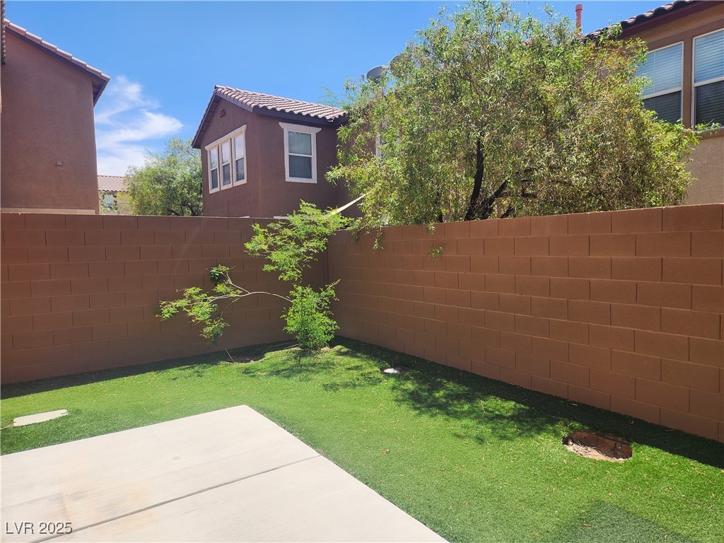 11185 Saddle Iron Street Property Photo 20