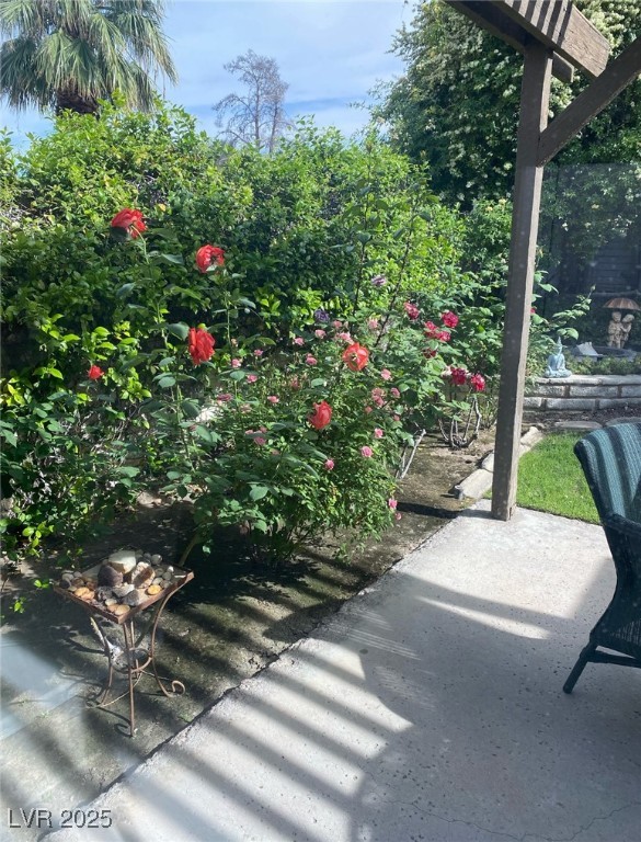 3013 Plaza De Rosa Property Photo 46