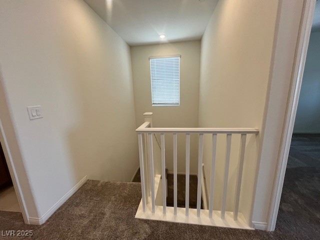 12439 Parkscene Place Property Photo 13