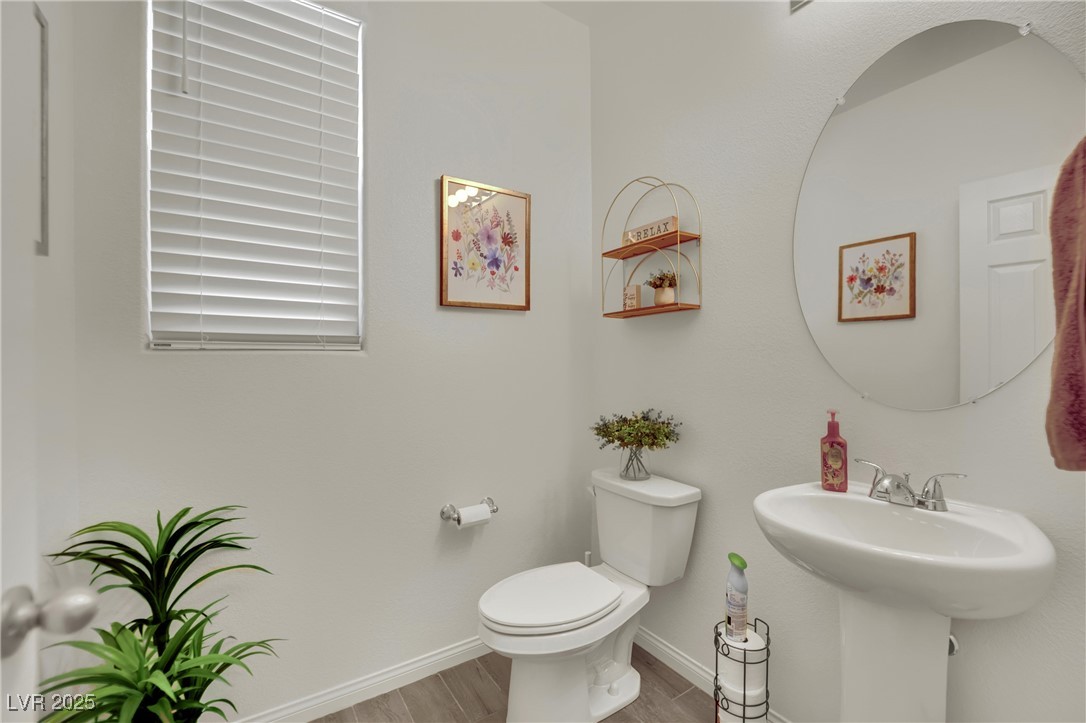 10345 Zebra Swallowtail Street Property Photo 22