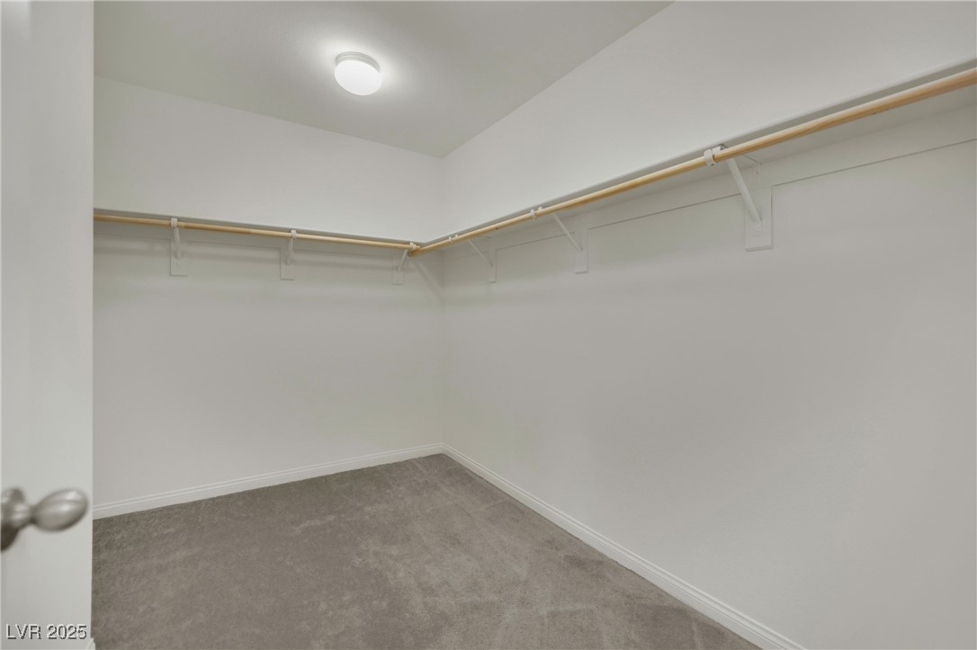 10345 Zebra Swallowtail Street Property Photo 35