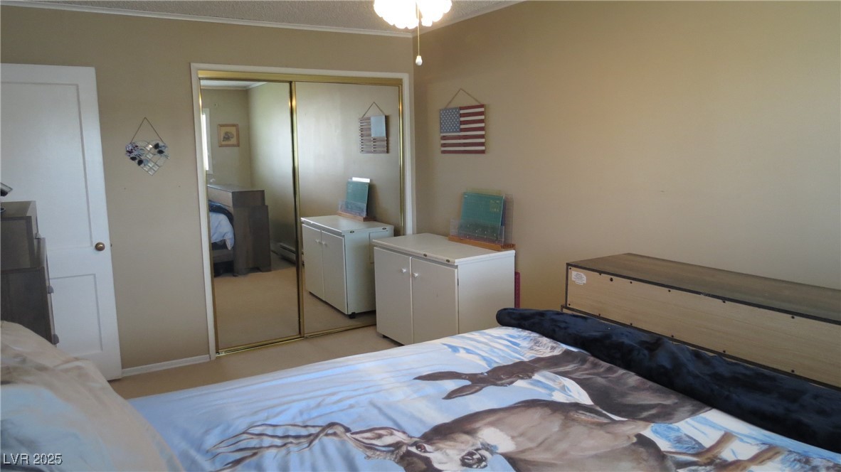 18 Connors Court Property Photo 17