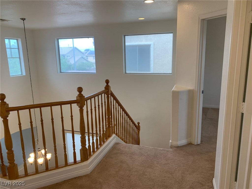 3728 Prairie Orchid Avenue Property Photo 14