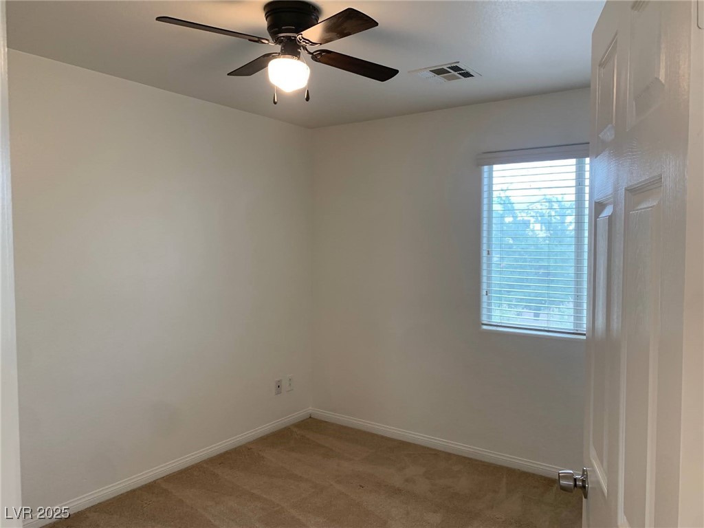 3728 Prairie Orchid Avenue Property Photo 15