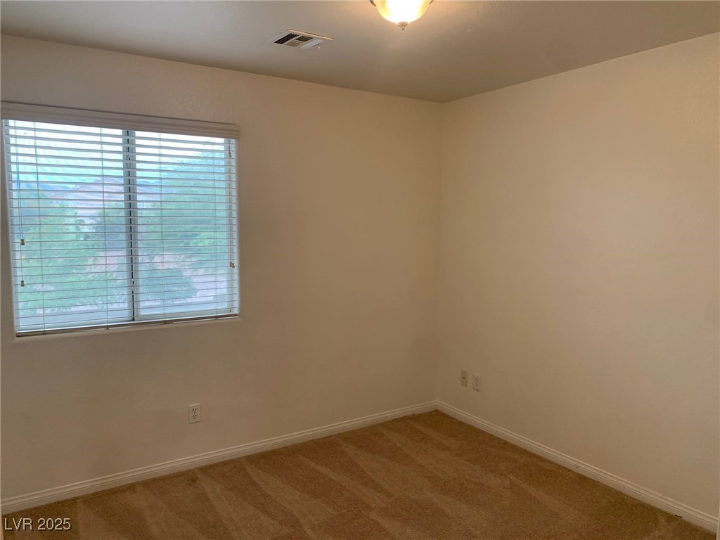 3728 Prairie Orchid Avenue Property Photo 17