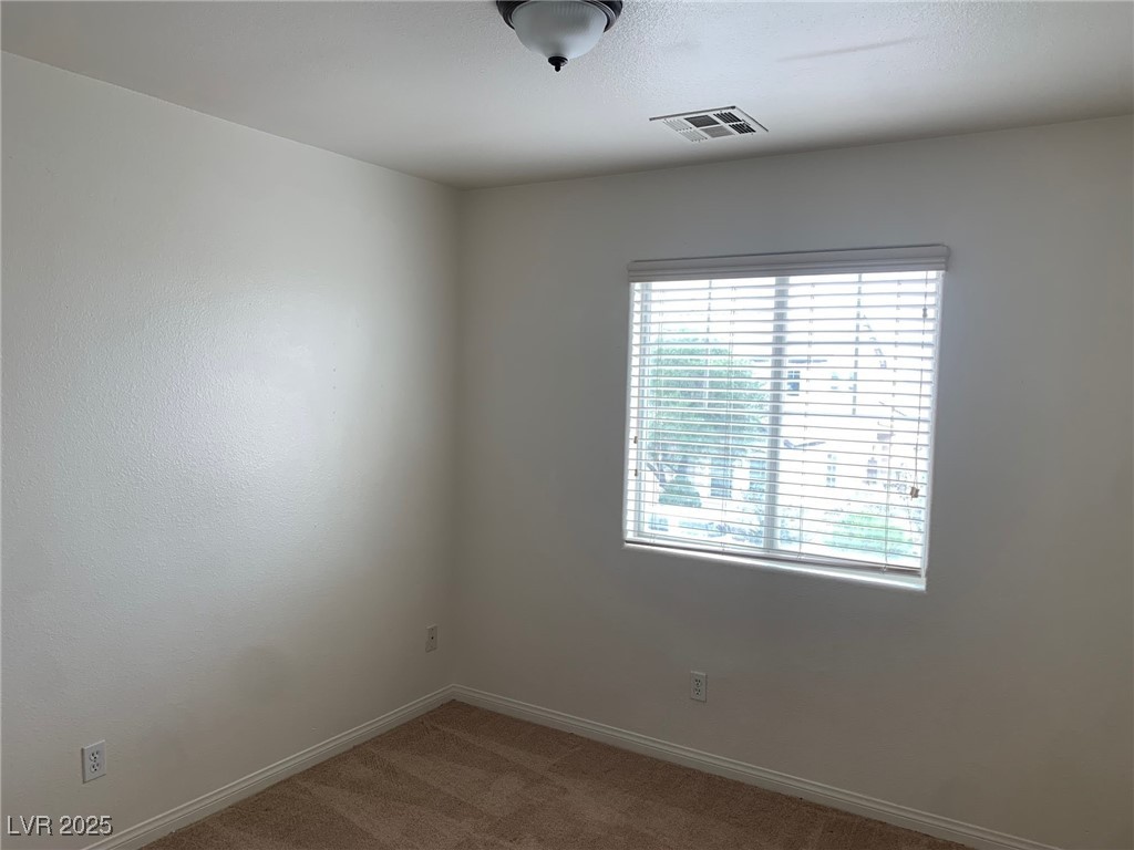 3728 Prairie Orchid Avenue Property Photo 19