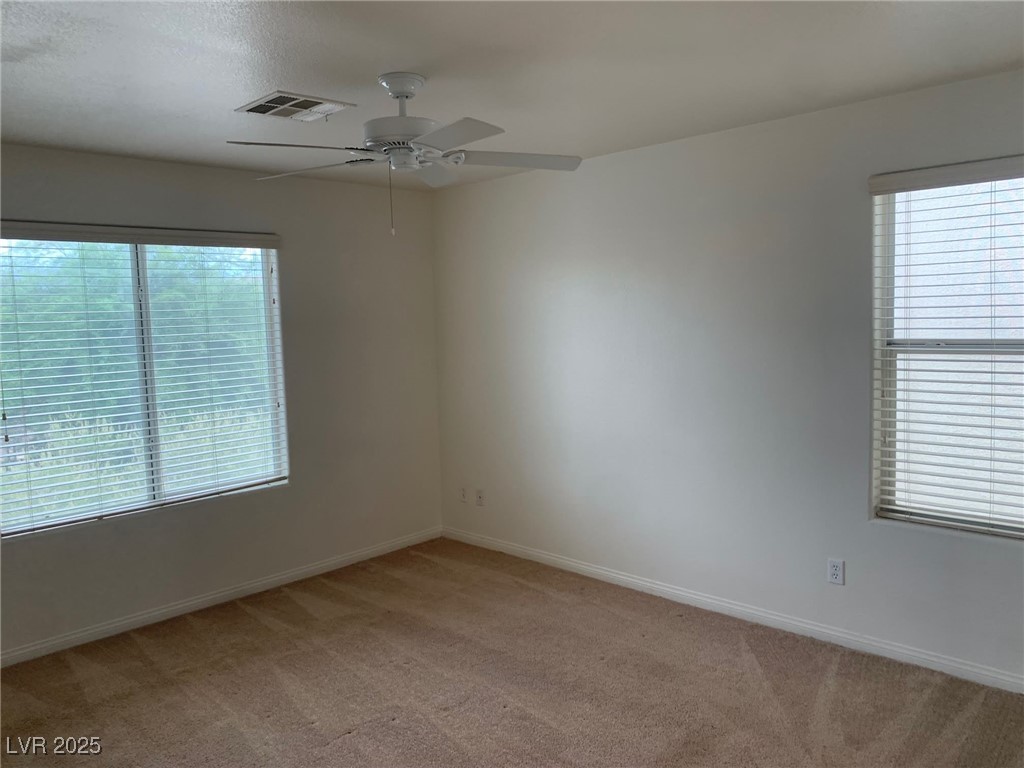 3728 Prairie Orchid Avenue Property Photo 22