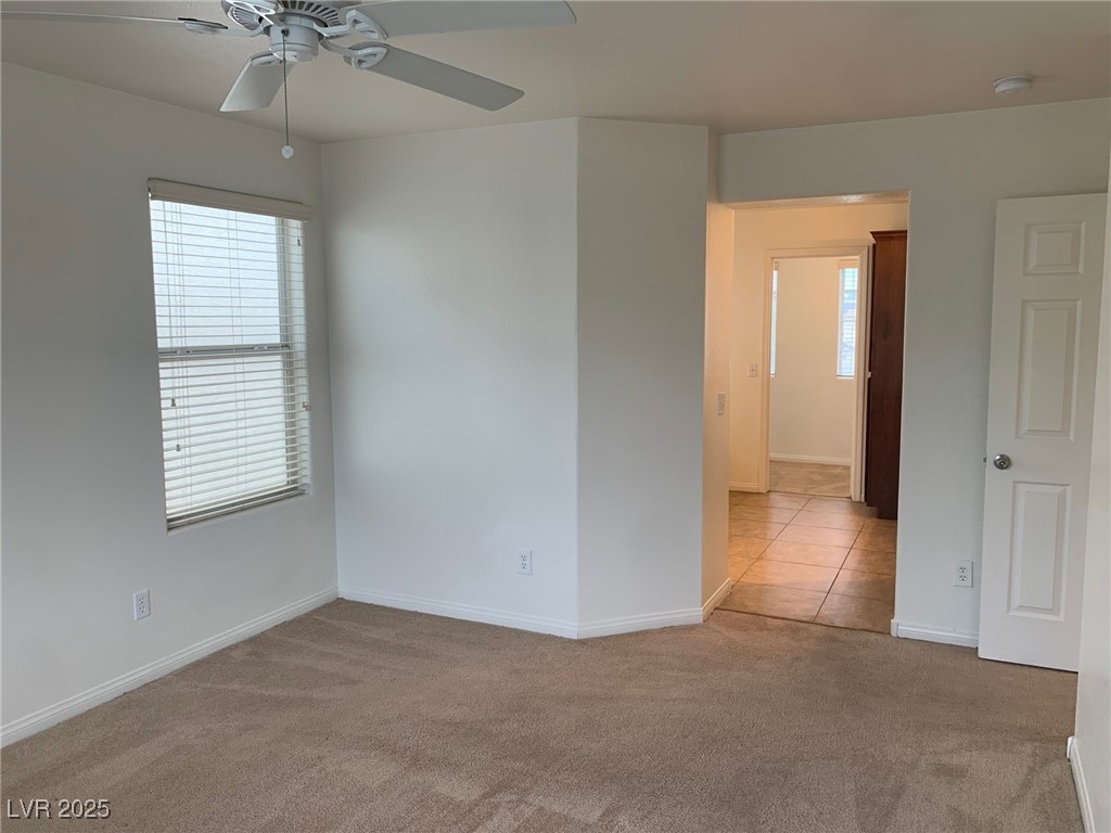 3728 Prairie Orchid Avenue Property Photo 23