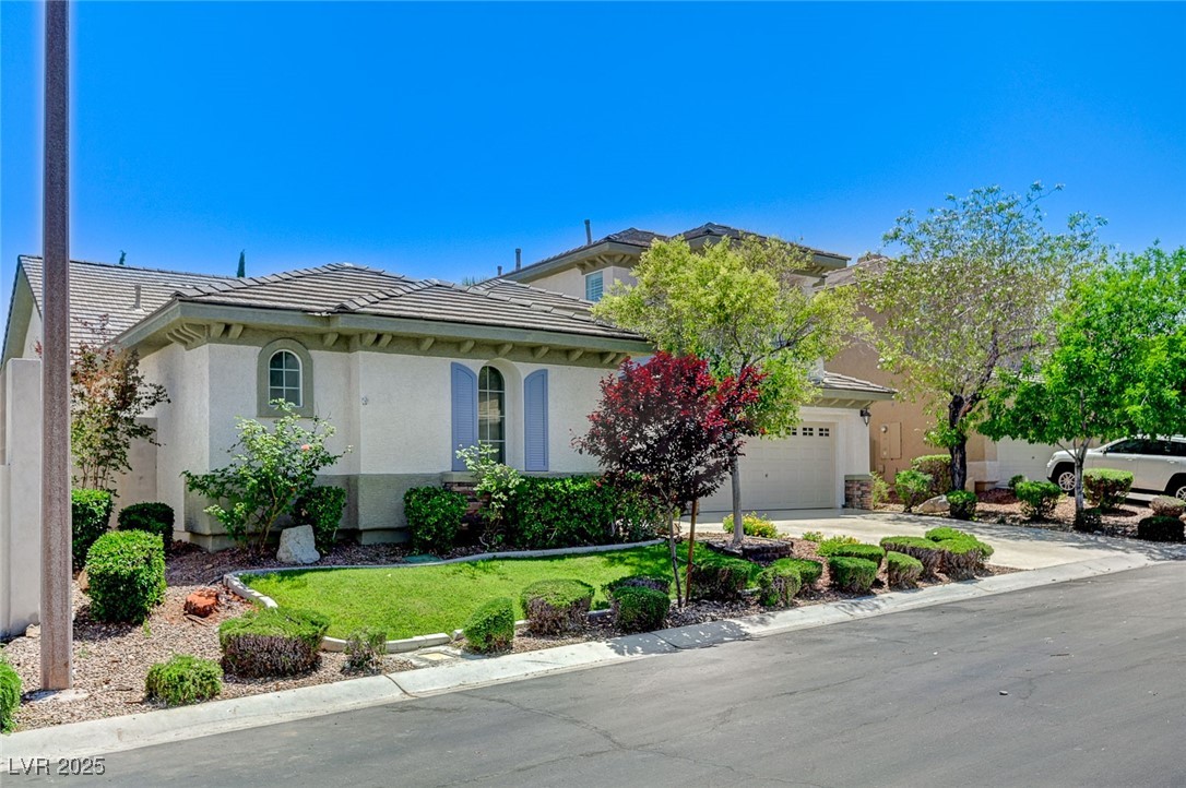 10249 Wisteria Hills Court Property Photo 11