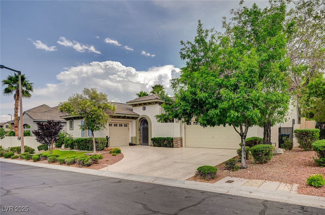 10249 Wisteria Hills Court Property Photo 12