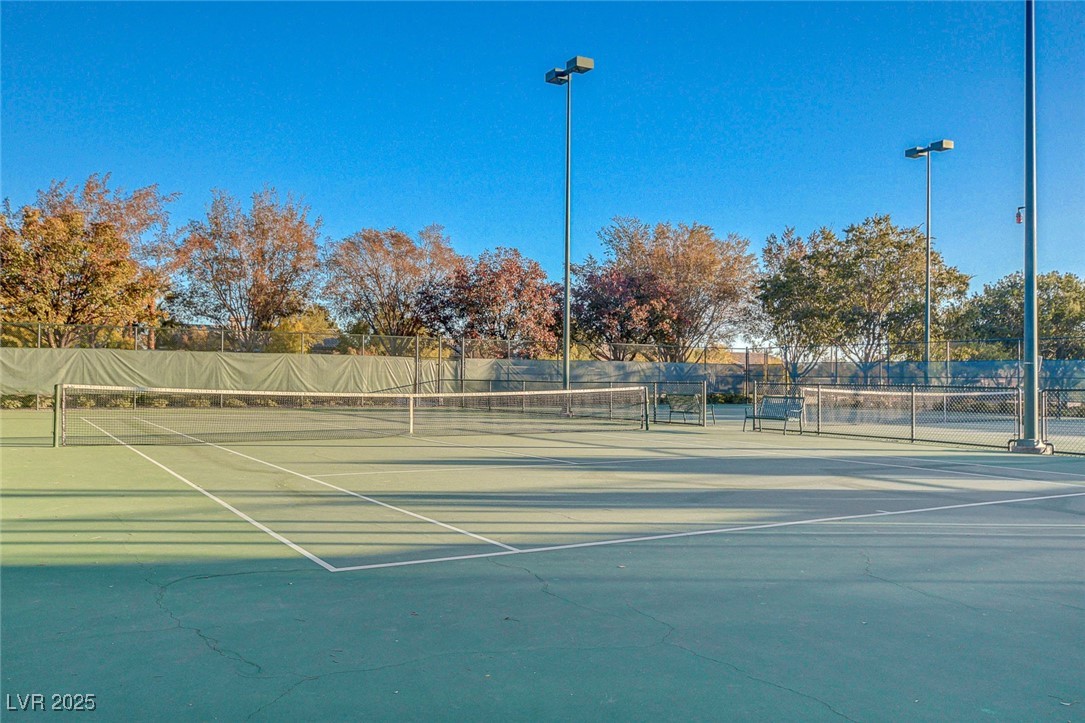 10249 Wisteria Hills Court Property Photo 97