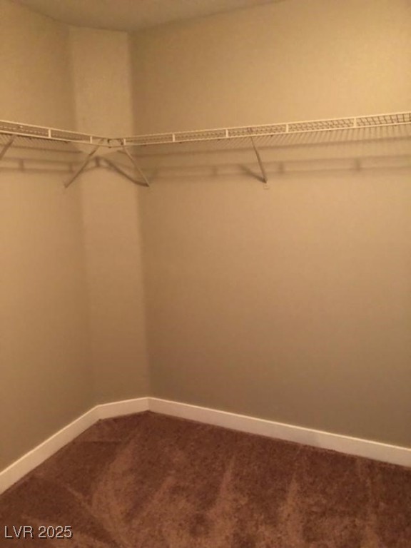 10342 Spider Rock Avenue Property Photo 23