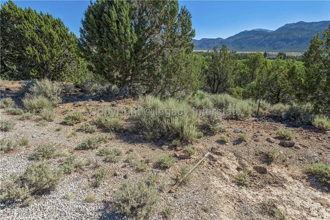 2951 South Juniper Way Property Photo 8