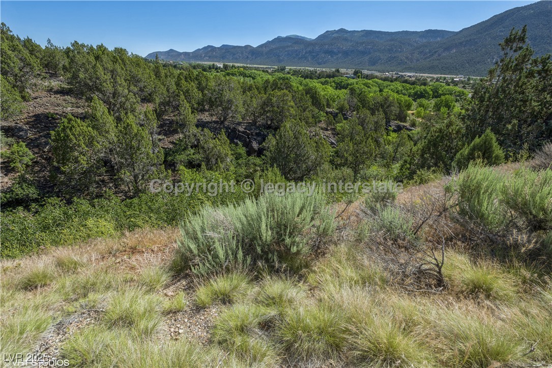 2951 South Juniper Way Property Photo 9