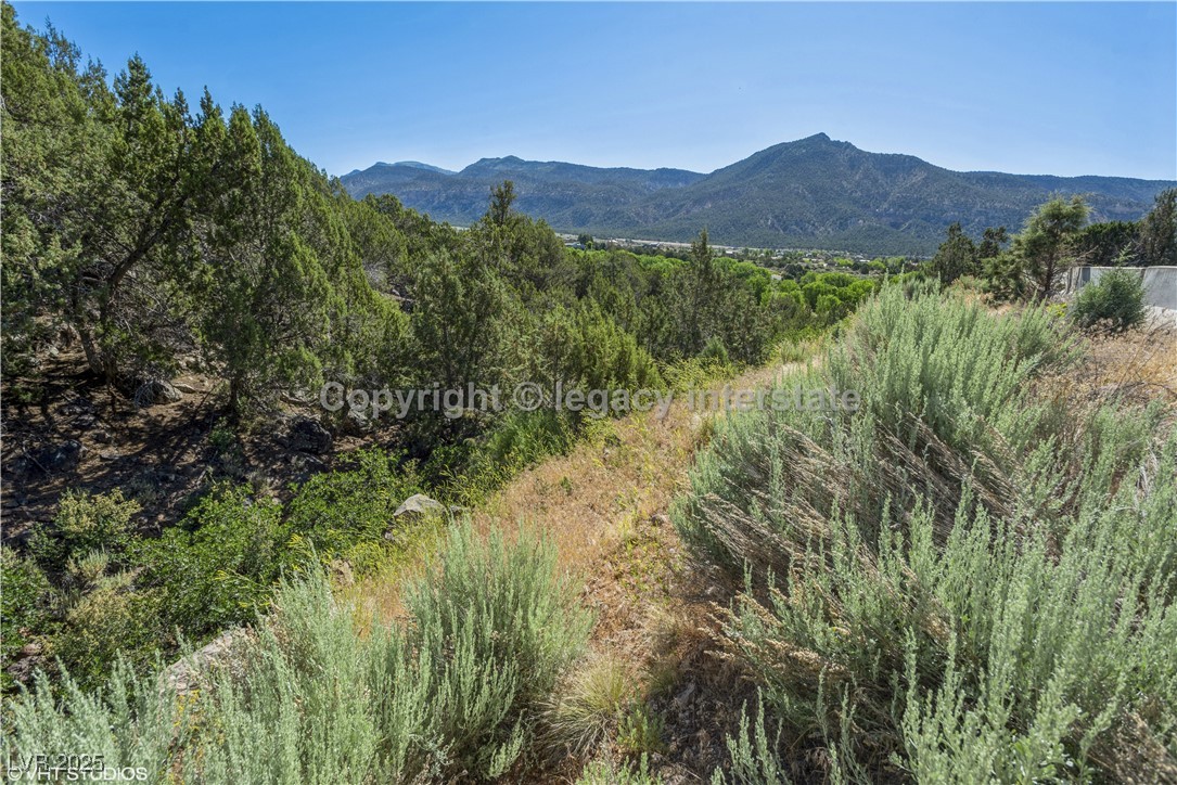 2951 South Juniper Way Property Photo 10
