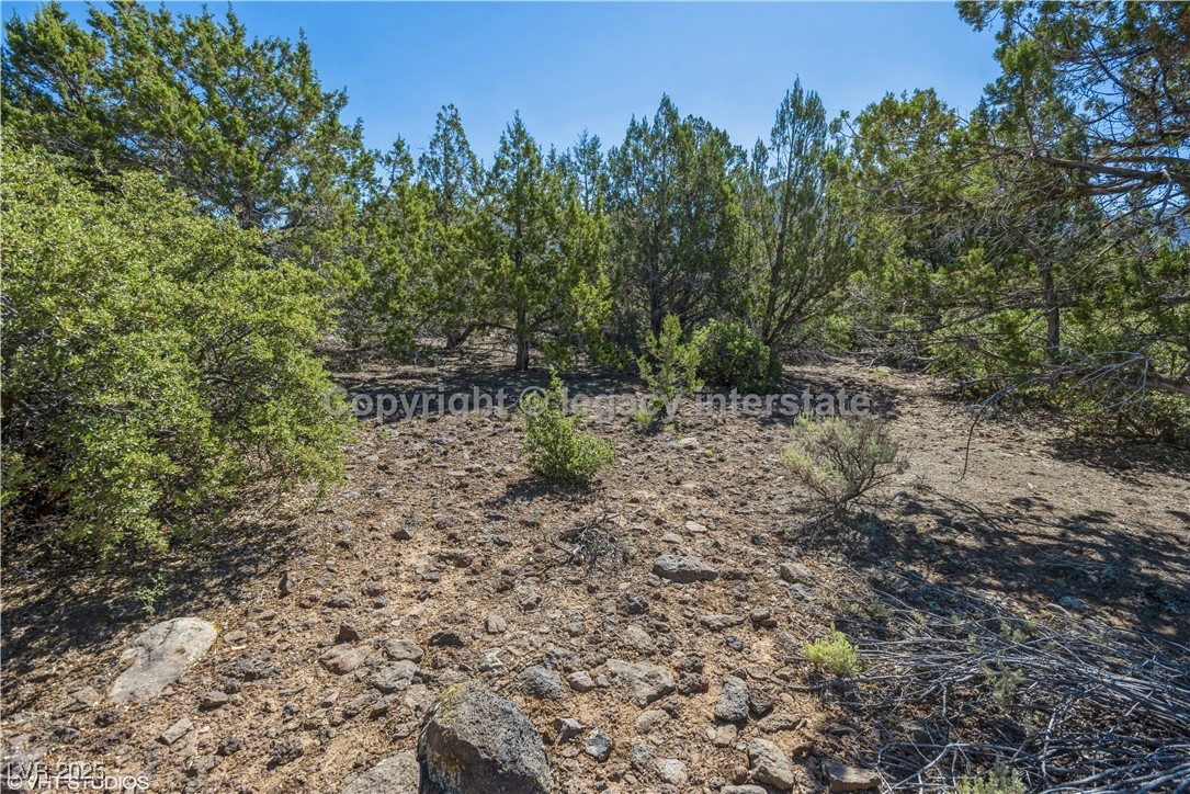 2951 South Juniper Way Property Photo 11