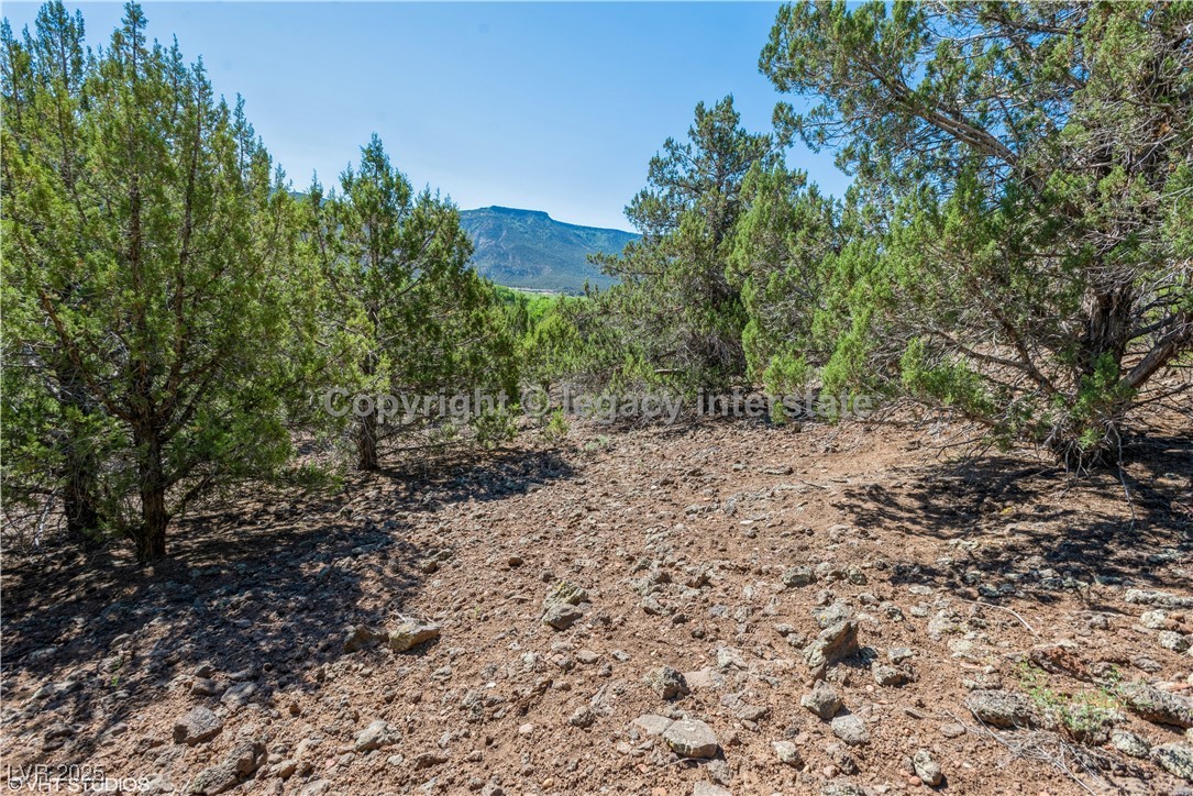 2951 South Juniper Way Property Photo 12