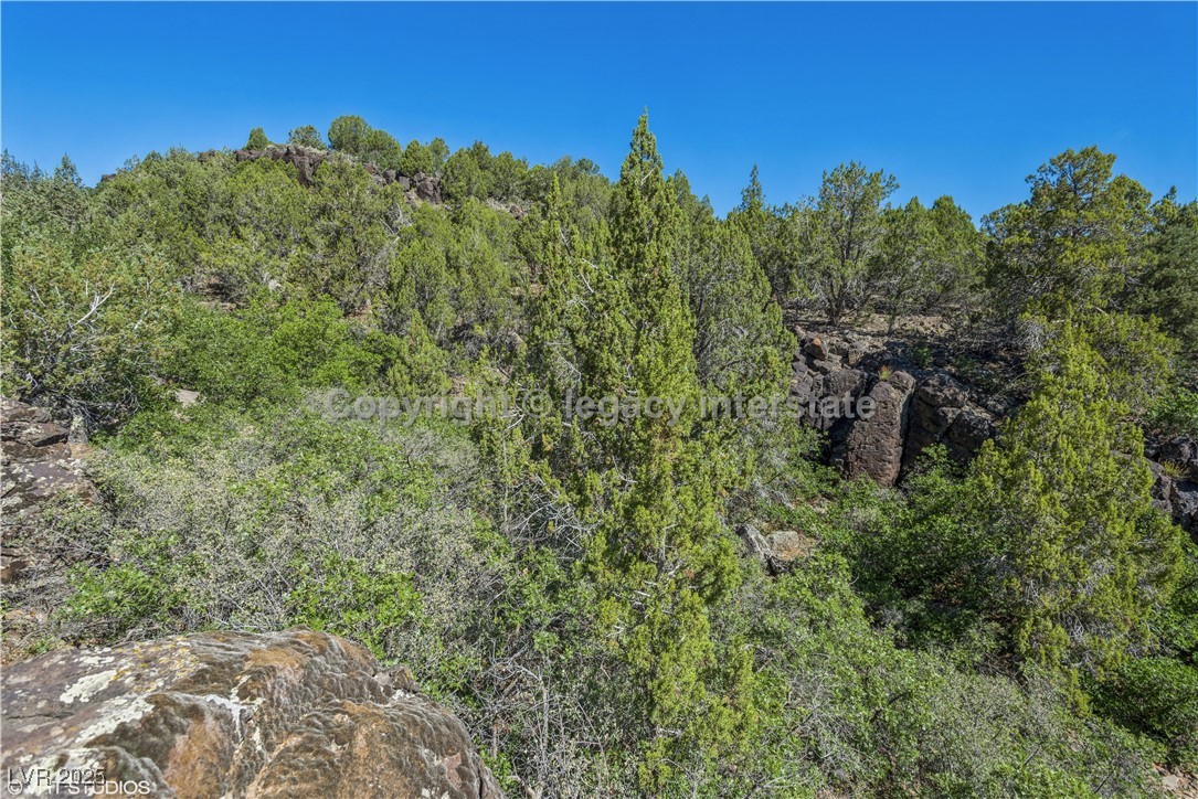 2951 South Juniper Way Property Photo 13