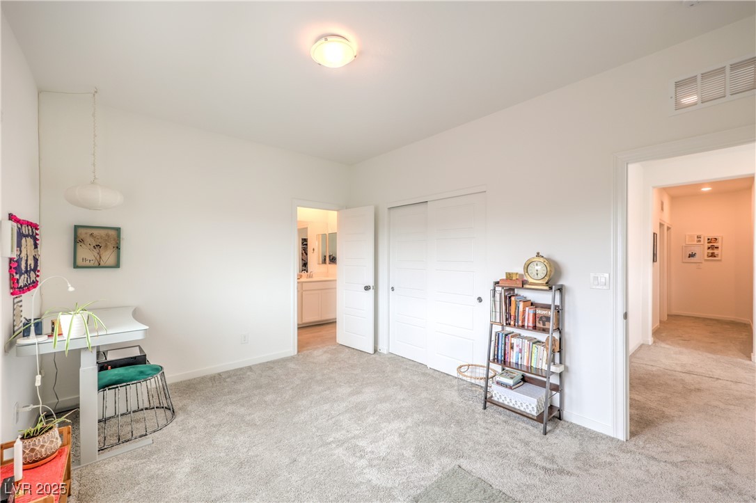 7045 Judith River Street Property Photo 27