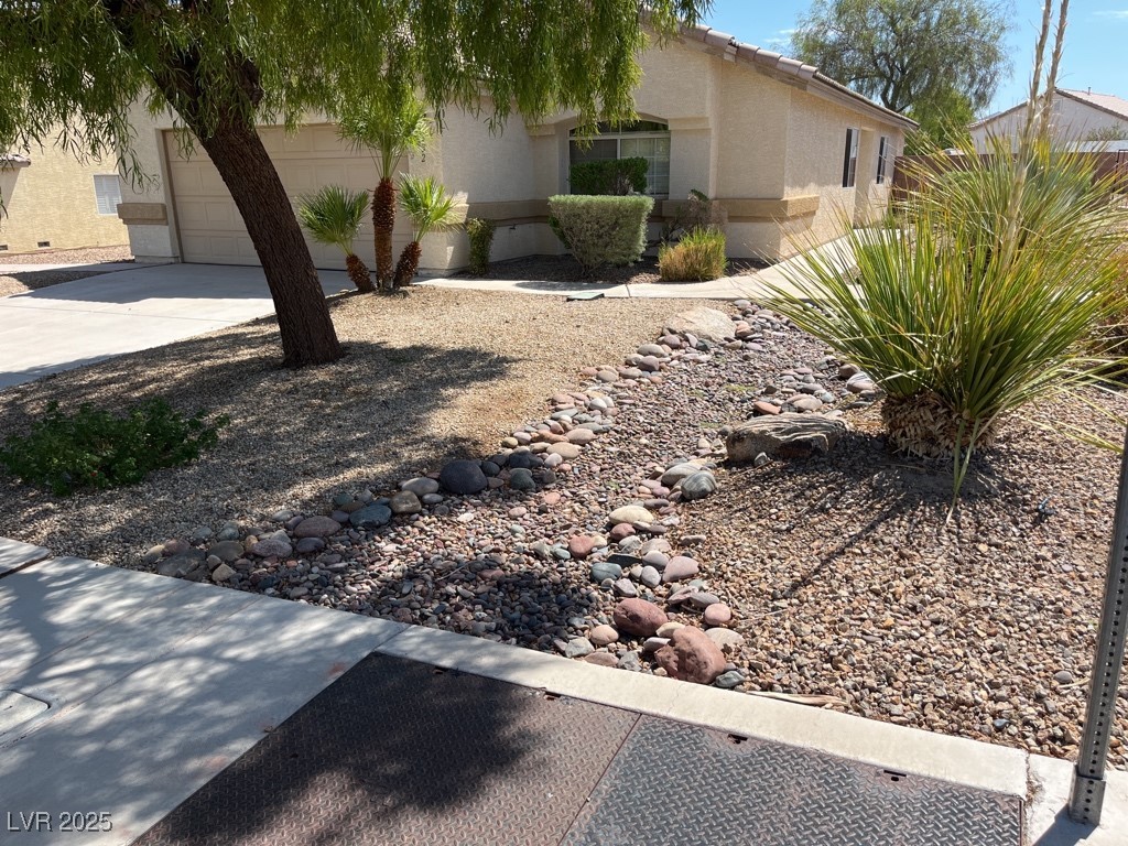 732 Goshawk Street Property Photo 3