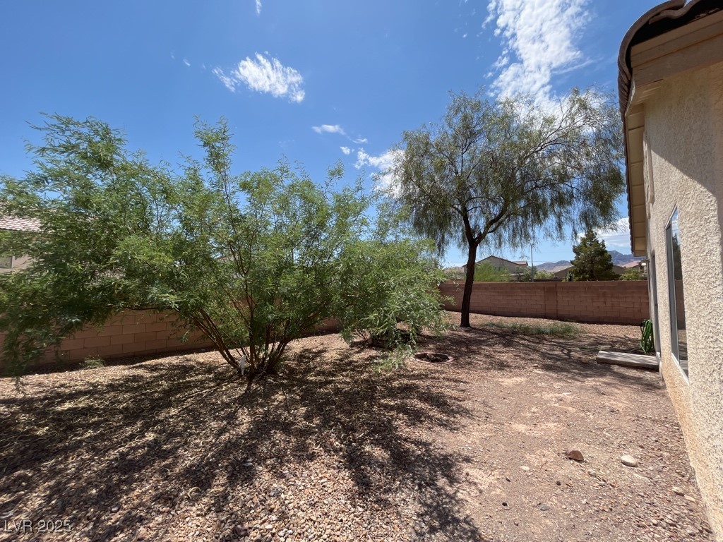 732 Goshawk Street Property Photo 22