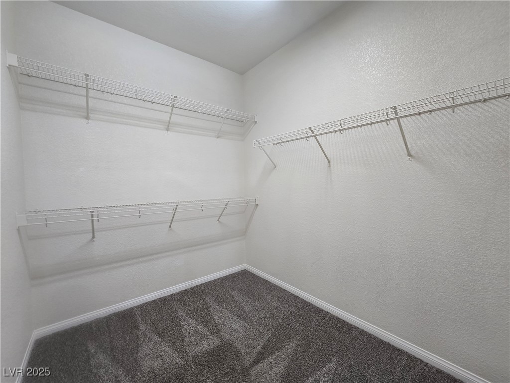 9312 Gold Dove Court Property Photo 28