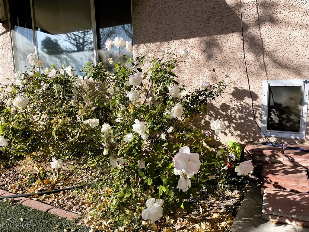 10031 Candle Canyon Court Property Photo 26