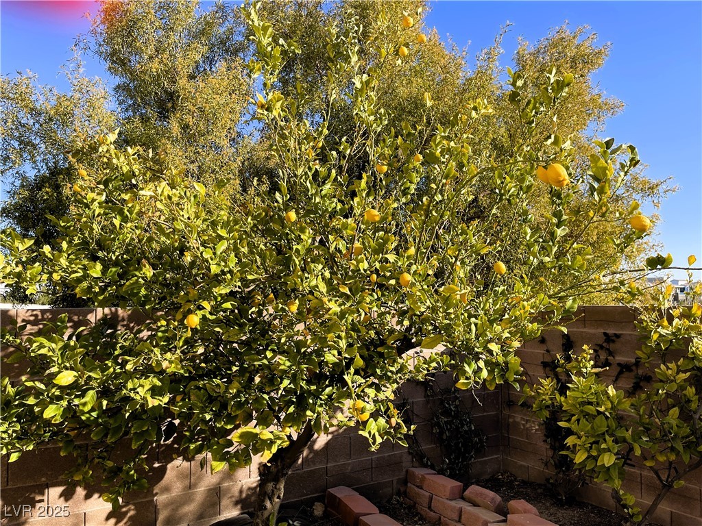 10031 Candle Canyon Court Property Photo 27