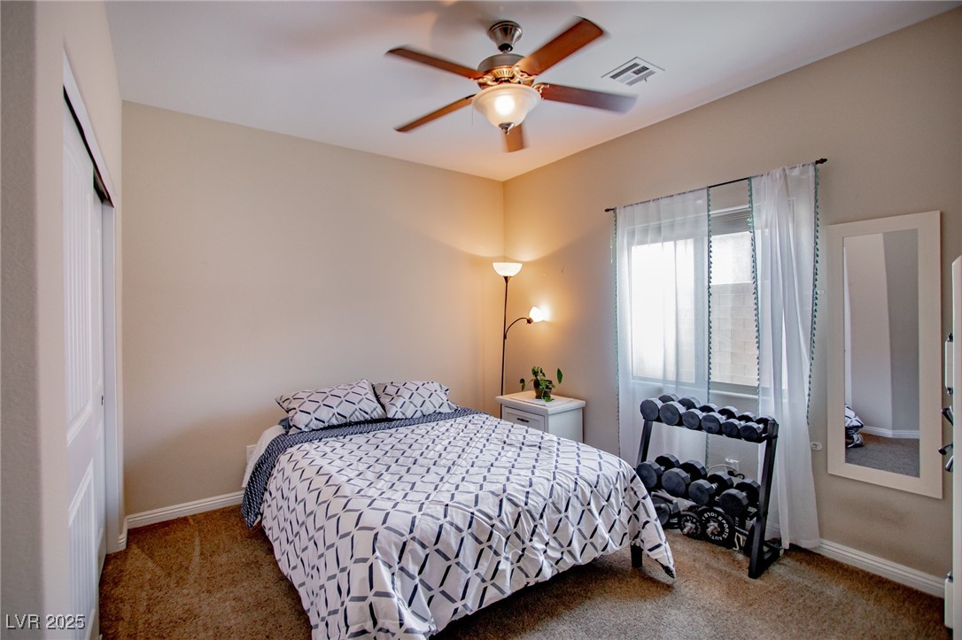 1699 Sonoran Bluff Avenue Property Photo 19