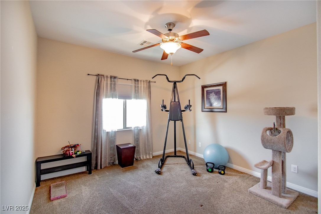 1699 Sonoran Bluff Avenue Property Photo 28