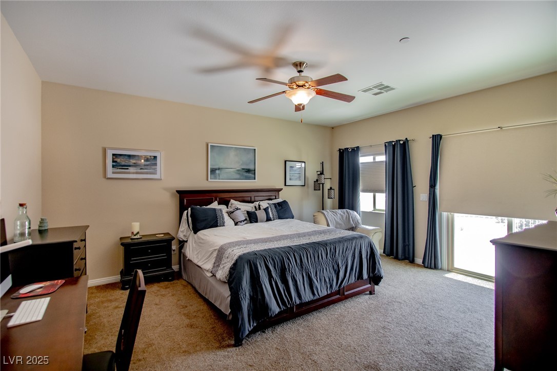 1699 Sonoran Bluff Avenue Property Photo 29