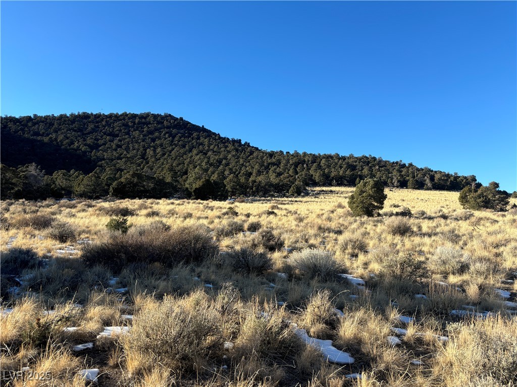 P-12 Butte Valley Property Photo 1