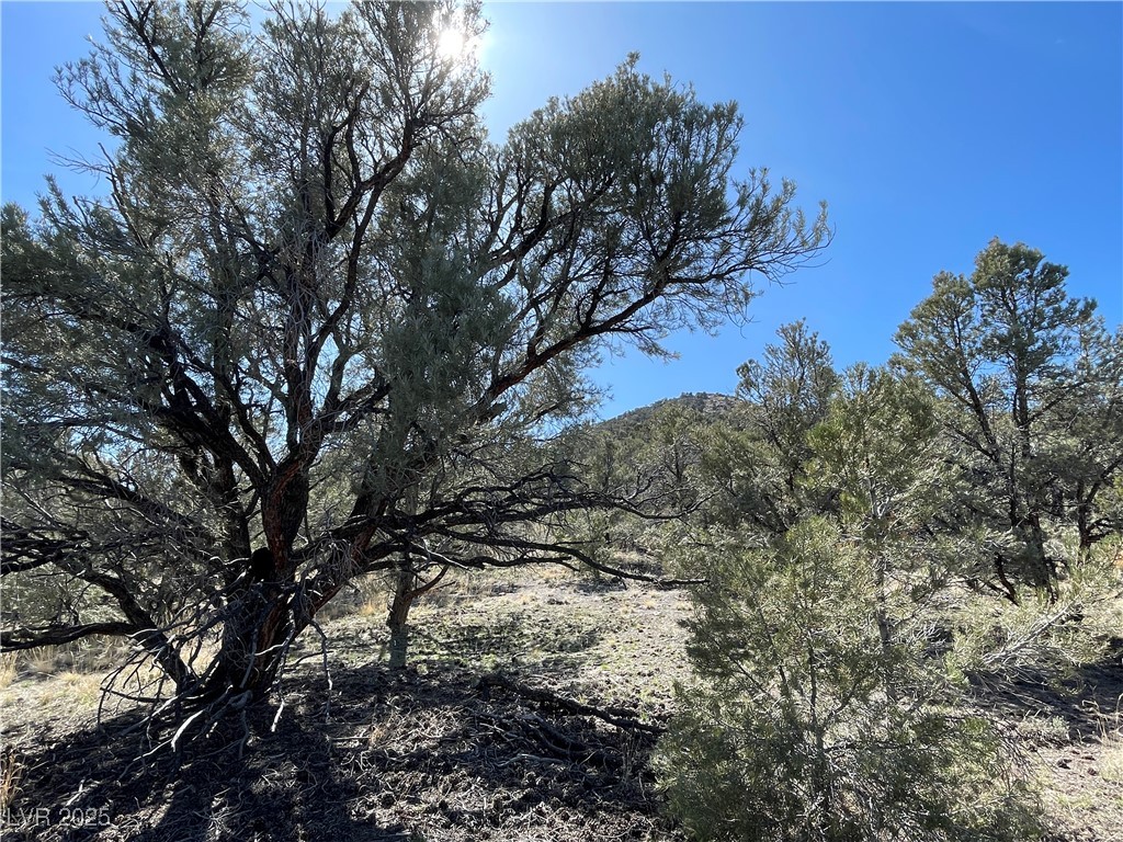 P-12 Butte Valley Property Photo 2