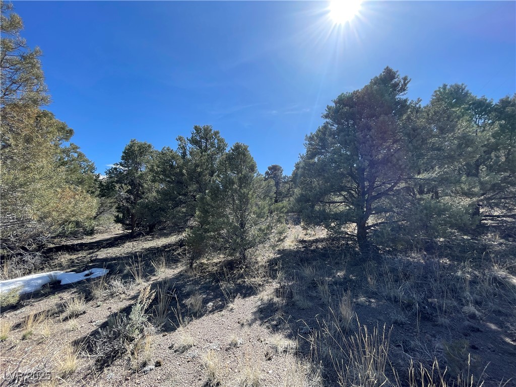 P-13 Butte Valley Property Photo 2