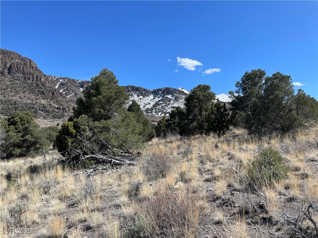 P-15 Butte Valley Property Photo 1