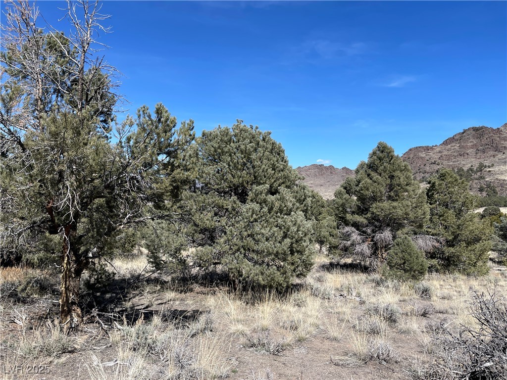 P-15 Butte Valley Property Photo 2