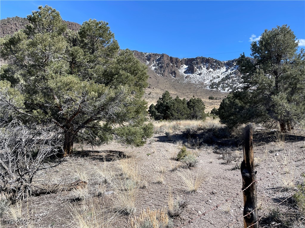 P-15 Butte Valley Property Photo 3