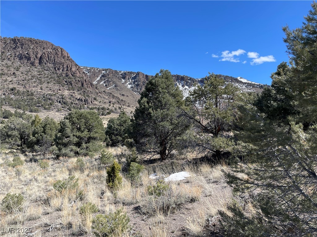 P-16 Butte Valley Property Photo 1