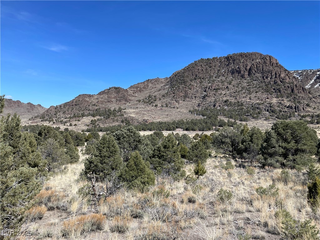 P-16 Butte Valley Property Photo 2