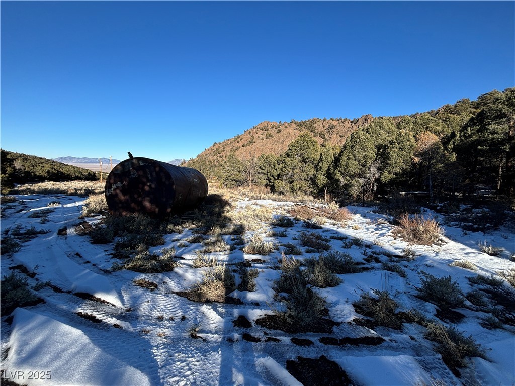 P-17 Butte Valley Property Photo 2