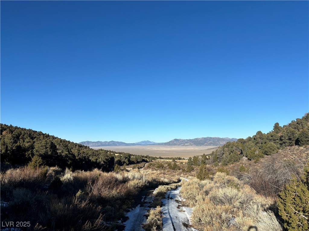 P-17 Butte Valley Property Photo 4