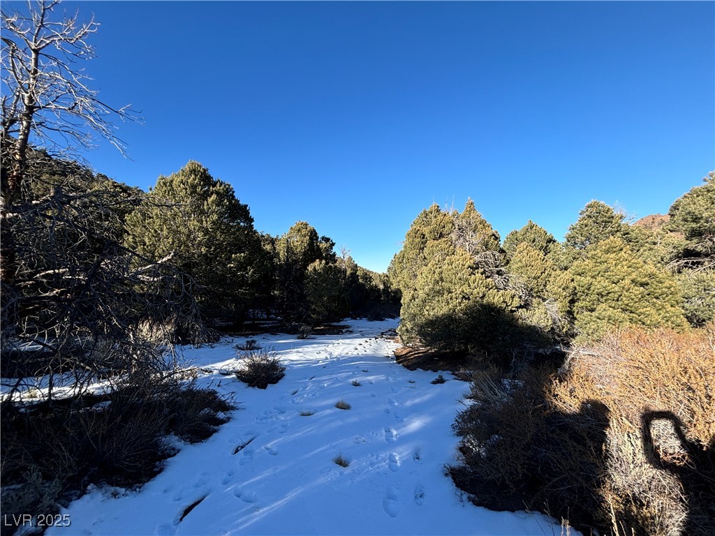 P-17 Butte Valley Property Photo 5