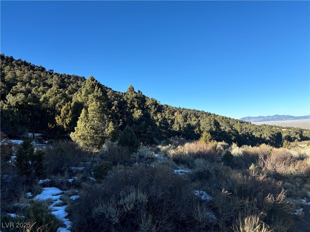 P-17 Butte Valley Property Photo 6