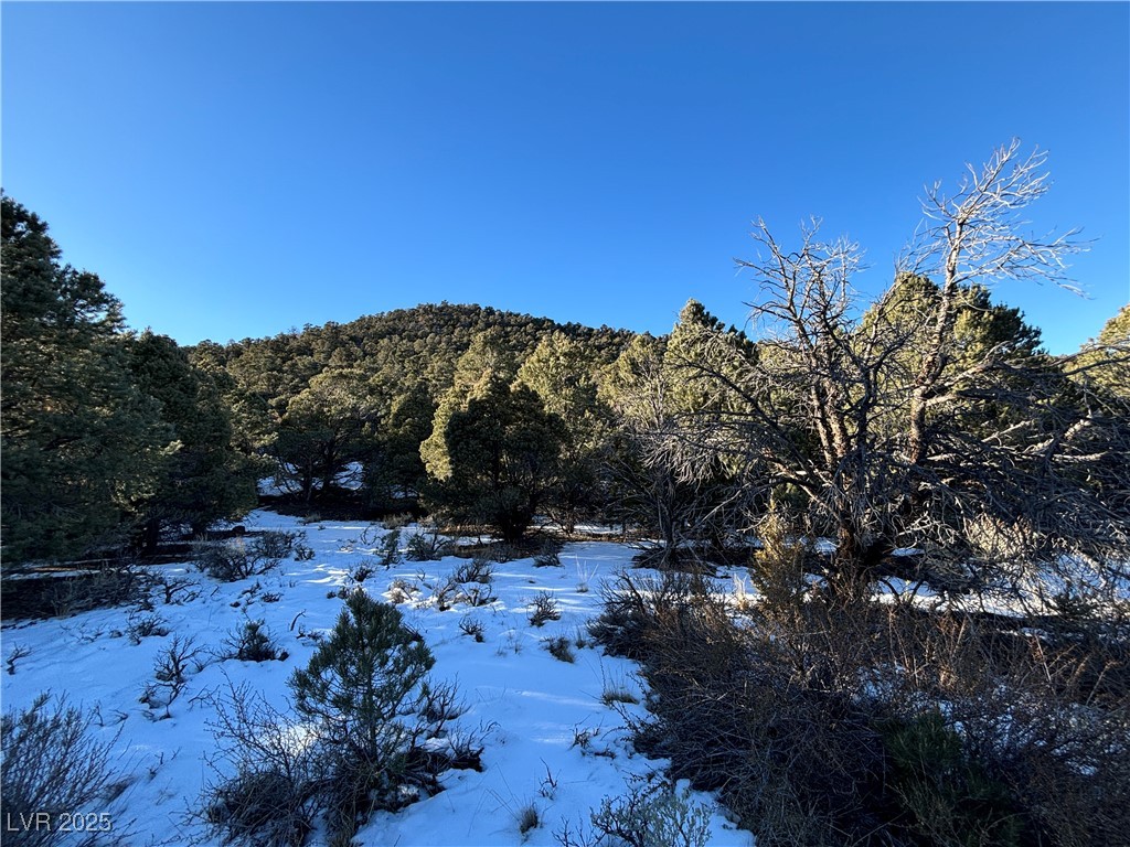 P-18 Butte Valley Property Photo 1
