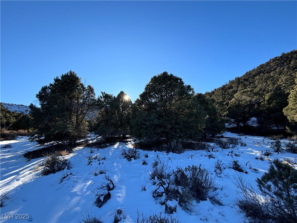 P-18 Butte Valley Property Photo 2